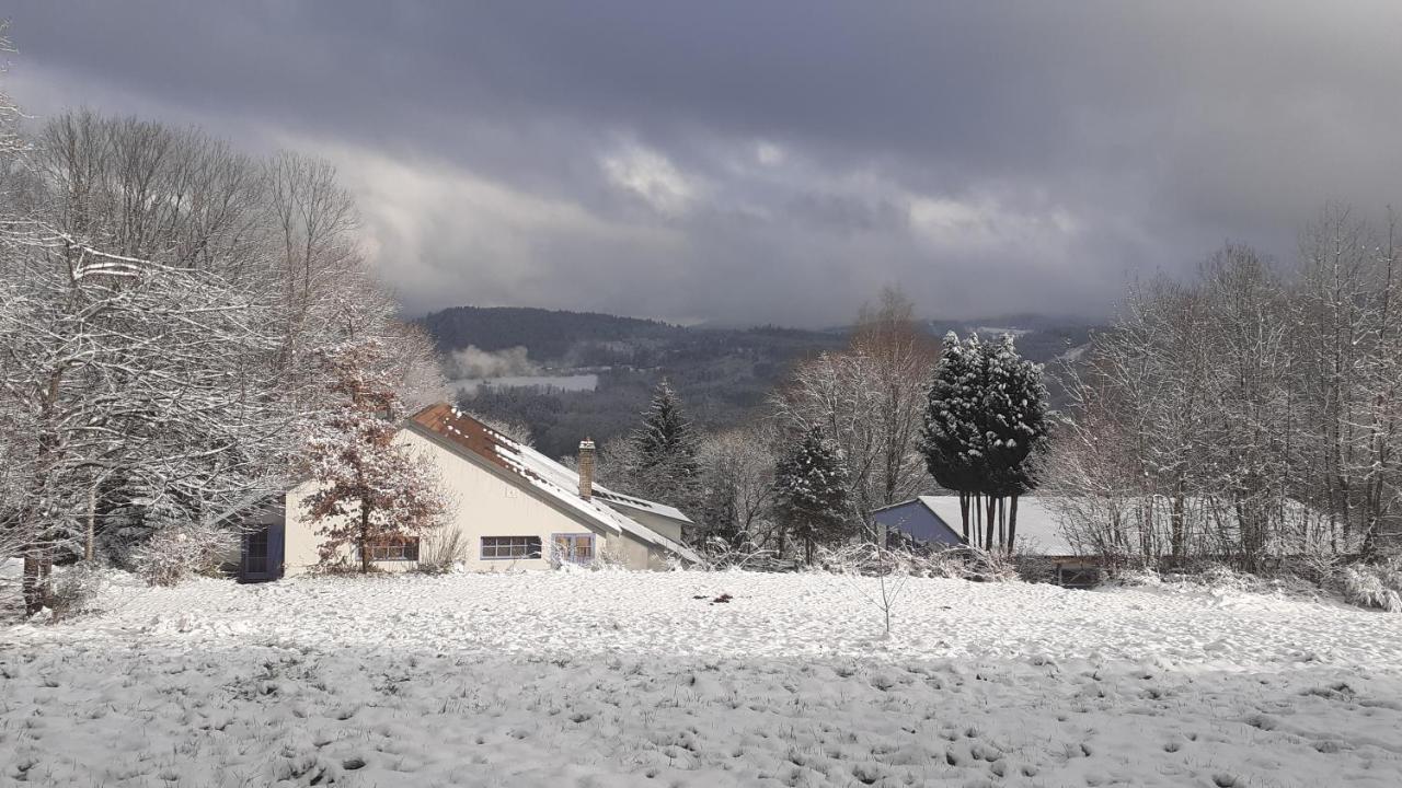 Bed and Breakfast Chambre&Table D'Hotes Ptitmonde Ban-sur-Meurthe-Clefcy Екстер'єр фото