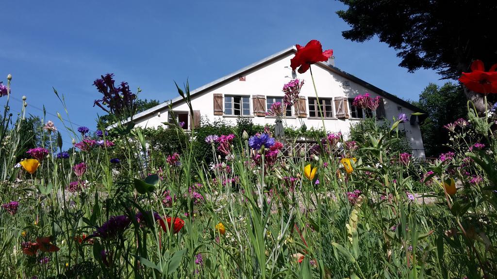 Bed and Breakfast Chambre&Table D'Hotes Ptitmonde Ban-sur-Meurthe-Clefcy Екстер'єр фото