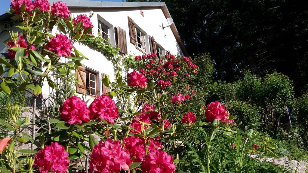 Bed and Breakfast Chambre&Table D'Hotes Ptitmonde Ban-sur-Meurthe-Clefcy Екстер'єр фото